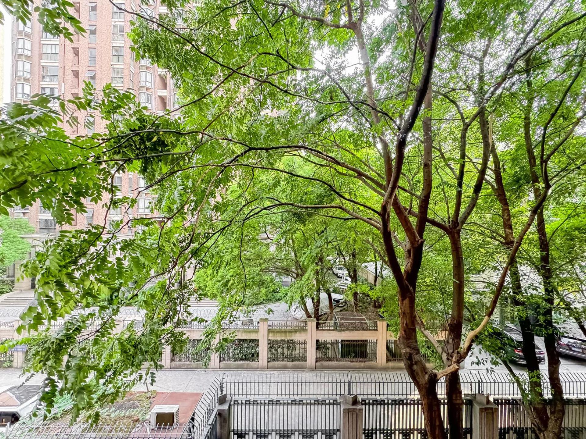 Apartment Tyms 2br Weiningrd Near Cesis Line2 Shanghai